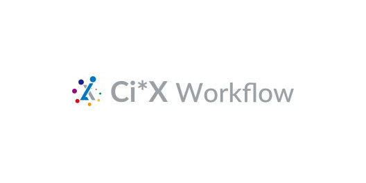 Ci*X Workflow