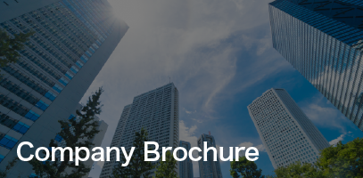 Company Brochure