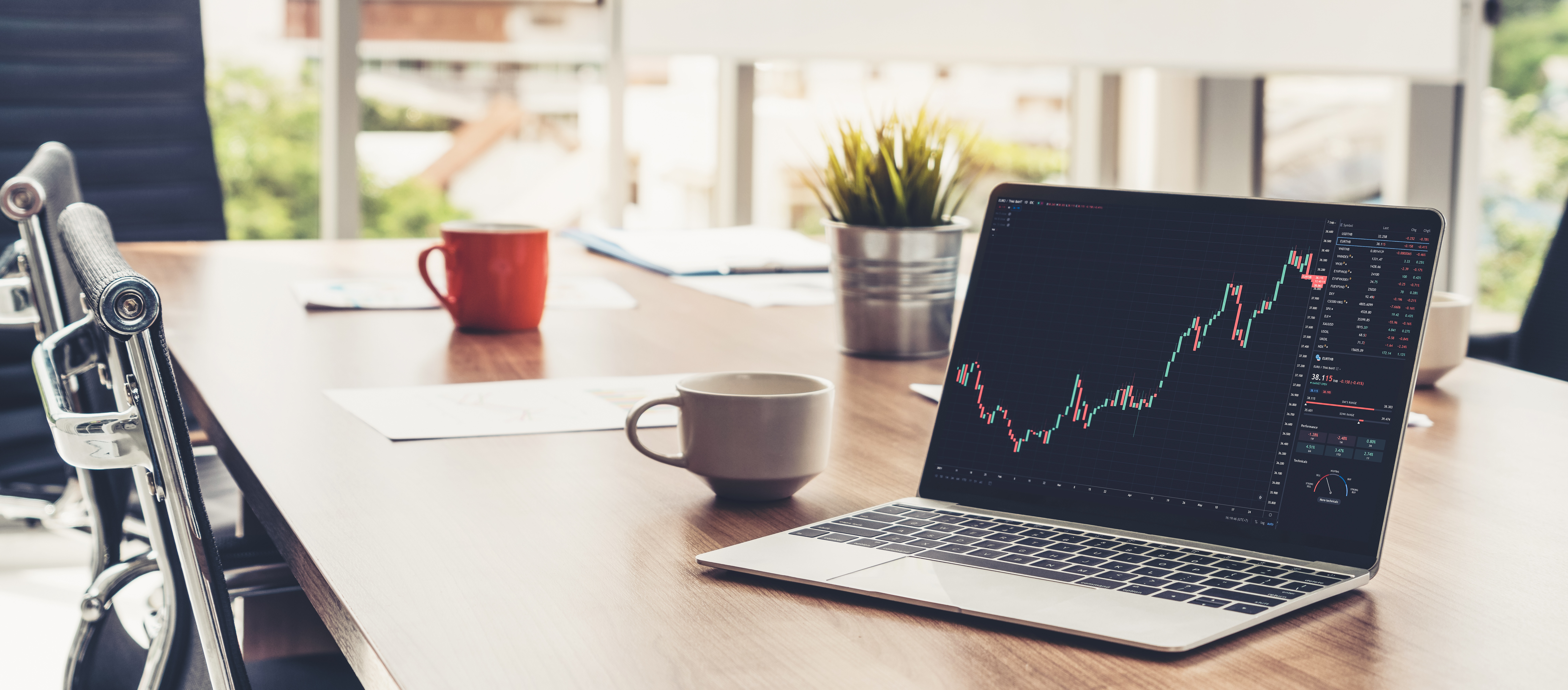 Individual Investors